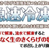 北海道産 冷凍生きくらげ 蝦夷ぷる美人 1kg(200g×5個入) 菌床栽培・無農薬 ぷりぷり肉質生キクラゲ 木耳 きのこ キノコ 送料無料 ※沖縄は送料別途加算