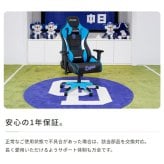 オフィスチェア AKRacing(エーケーレーシング) Pro-X V2 Dragons(中日ドラゴンズモデル) 日本プロ野球 ゲーミング 4Dアジャスタブルアームレスト ヘッドレスト ランバーサポート オフィス Pro-XV2Dragons ウレタン 新生活