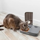 ペットセーフ おるすばんフィーダー 2食分