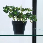 推し活 棚 推し活収納 不二貿易 ガラス コレクションケース 6段 4枚扉 扉付き ブラック 強化ガラス 板 高さ180cm 幅70cm 奥行35cm 大型収納 必見 新生活