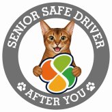 カーサイン 高齢者マーク SENIOR SAFE DRIVER アビシニアン ステッカー シール 直径13cm 肉球 日本製 車