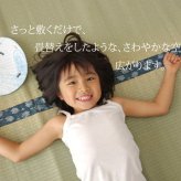 夏ラグ 夏用カーペット 純国産 い草 上敷き カーペット 双目織 『ほほえみ』 三六間6畳(約273×364cm）