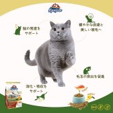 Kaniva カニワ 室内猫フォーミュラ（ターキー） キャットフード 1.3kg