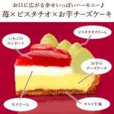 ＼早割！／ クリスマスケーキ クリスマスプレゼント 予約 2026 苺 チーズ タルト チーズタルト チーズケーキ ピスタチオ 黄緑 甘酸っぱい オリジナル ストロベリー コンポート 4号2～3人 スイーツ お菓子 洋菓子 可愛い かわいい おしゃれ おいもや