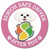 カーサイン 高齢者マーク SENIOR SAFE DRIVER ビションフリーゼ マグネット 強力 直径13cm 肉球 日本製 車 ステッカー