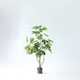 観葉植物 造花 ヤツデ BROWN 全高約140cm 中型 コンパクト フェイクグリーン 高級 本物そっくり リアル おしゃれ 和風 和モダン インテリア 人工観葉植物 アーティフィシャルグリーン オフィス 店舗 旅館 開店祝い 室内 リビング 寝室 玄関 庭木 八つ手