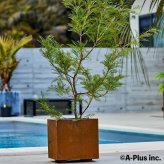 コールテン鋼 高級植木鉢 おしゃれ スクエア 30cm四方 アンティーク 経年美 Patina スクエアプランターL300 2mm厚 A-PLUS 屋外 観葉植物 多肉植物 サボテン 寄せ植え 花 鉢カバー 北欧 モダン ガーデニング 玄関 庭 パティナ