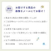 【お悔やみの花】【選べる6色】【Lサイズ】【クール便】【最短翌日お届け】フラワーアレンジメント 送料込み 日時指定可 おまかせ制作  | お悔やみアレンジ お供え花  法事 法要 命日 四十九日 葬儀 枕花