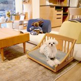 ペットベッド giocoso パイン材 天然木 S・M ライトブラウン・ホワイト W52.5xD42.8xH34cm 犬 猫 ペット家具 ペット用品 ライトブラウン ホワイト おしゃれ