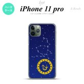 iPhone11Pro iPhone11 Pro スマホケース ハードケース 星座 ヘビ遣い座 メンズ レディース nk-i11p-849