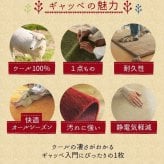 ラグ カーペット マット 玄関 玄関マット おしゃれ 40x60cm シンプルギャッベマット HOT対応 アヤカ 北欧 モダン シンプル デザイン かわいい かっこいい ギャッベ インド製 ホット 床暖 OK 送料無料 手織り 肌触り