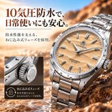 腕時計 メンズ レディース ユニセックス 40代 50代 ADDIESDIVE クォーツ セイコー製ムーブメント 36mm 100m 防水 AD2030