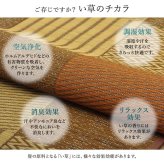 敷物 花ござ 国産 純国産 日本製 い草 モダン 抗菌防臭 自然素材 パッチワーク 本間10畳 約477.5×382cm