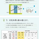 夏ラグ 夏用カーペット い草ラグ おしゃれ コンパクト シンプル カーペット 『DXモーセ』 約135×180cｍ 新生活