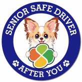 カーサイン 高齢者マーク SENIOR SAFE DRIVER パピチワ マグネット 強力 直径13cm 肉球 日本製 車 ステッカー