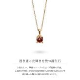 ガーネット ネックレス K14 ゴールド ネックレス ハワイアンジュエリー ネックレス 14K K14ゴールド 14金 イエローゴールド ピンクゴールド ホワイトゴールド 1月誕生石 一粒 ギフトラッピング可能 BYTHESEA プレゼント ハロウィン 【品番：CG-GP501-1】