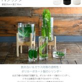 FOYER ホワイエ PVシリンダー 直径20cm×高さ10cm