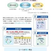 デスクカーペット カーペット 日本製 抗菌 消臭 清潔 防炎 抗アレル物質 ダニ対策 シャギー 無地 約1.2畳 約120×150cm 抗菌消臭で清潔 無地デスクカーペット 抗菌防臭 ポリエステル 学習机用カーペット 学習デスク用マット 子供部屋マット