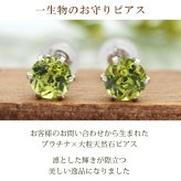 つけっぱなし ピアス プラチナ 900 ペリドット 5mm 天然石 誕生石 日本製 【品質保証書つき】 セカンドピアス メンズ レディース 1個ずつバラ売り プレゼント