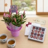 【敬老の日】リンドウ鉢＆フルレット・ダリアセット（鉢花とチョコセット）　花とスイーツのセット 人気 おじいちゃん おばあちゃん お祝い 感謝 お菓子 食品 おすすめ
