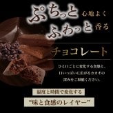  [ ショコラ フィナンシェ ]  4個入 9個入 12個入 20個入 お返し のし無料 チョコフィナンシェ チョコレート お茶菓子 菓子折り 常温 プレゼント 食べ物 誕生日 お菓子 スイーツ 洋菓子  出産 結婚 内祝い 個包装