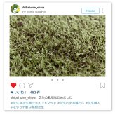芝生風 ジョイントマット シーヴァ 約60×60cm 18枚入り 大判 サイドパーツ付き