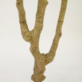観葉植物 造花 レモンの木 BROWN 全高約220cm 大型 実付き フェイクグリーン 高級 本物そっくり リアル おしゃれ インテリア 人工観葉植物 アーティフィシャルグリーン シンボルツリー オフィス 店舗 カフェ 開店祝い 室内 リビング 玄関 風水 果樹 レモンツリー