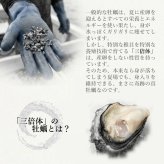 【生食用】 牡蠣 殻付き 1kg（9〜11個） 気仙沼大島産 三倍体 真牡蠣 鼎雫 かなえしずく ブランド牡蠣 送料無料 生カキ ギフト 贈答
