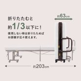 電動ベッド 介護 折り畳み マットレス付 リクライニングベッド 介護ベッド 折りたたみ 電動リクライニングベッド アイリスオーヤマ OTB-BDH-R *