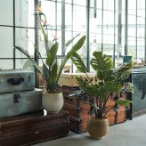 観葉植物 造花 モンステラ BROWN 全高約97cm 中型 フェイクグリーン 本物そっくり おしゃれ インテリア 人工観葉植物 アーティフィシャルグリーン オフィス 店舗 ホテル 開店祝い 室内 デリシオサ フェイク