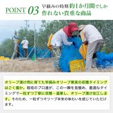 静岡産オリーブセット