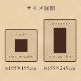 こたつ布団カバー カバー 正方形 単品 洗える カジュアル チェック柄 撥水 約195×195cm 洗える撥水こたつ布団カバー ポリエステル フランネル こたつ掛布団 こたつふとん コタツ掛け布団 コタツ掛布団 こたつ用品 冬用 冬物 寝具 寝室用品