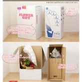 胡蝶蘭 大輪 ３本立ち 蕾含む36輪以上 送料無料 ヤマト [r-tai0009-f] 　開店祝い 開業 誕生日 長寿 結婚記念日 金婚式 お供え花 株主総会 選挙 当選 祈願 仏花 お悔み花 開院 開業 移転 ギフト 贈り物 還暦 古希 喜寿 傘寿 米寿 卒寿 白寿 百寿 御供 受賞 受章 退職 就任 栄転 昇進 昇給 昇格 新築 竣工 落成 新装 周年記念 式典 発表会 集会 内祝 年忌 法要
