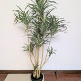 人工観葉植物 ユッカ 1.2m 