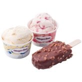 お歳暮 ハーゲンダッツ スペシャルセット (HD-SP) ※送料無料(北海道・沖縄・離島への配送不可)