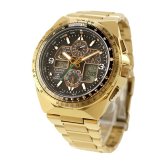 シチズン プロマスター SKYシリーズ Eco-Drive 50周年限定 SKYHAWK スカイホーク 腕時計 メンズ 数量限定 電波ソーラー CITIZEN PROMASTER JY8144-50E