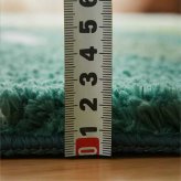 ラグ カーペット 玄関マット 室内 屋内 マット モンステラマット 立体感 北欧 オシャレインテリア おしゃれ オシャレ デザインマット 滑り止め 緑色 グリーン 茶色 ブラウン 引っ越し 新生活
