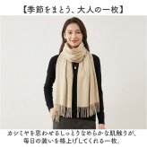 ストール 大判 レディース 通販 マフラー 大判ストール ひざ掛け 膝掛け ひざかけ ブランケット ショール ケープ 大人 女性 女子 冬 秋冬 羽織り 無地 シンプル 防寒 冷房対策 寒さ対策 冬小物 通勤 通学 レディースファッション お出かけ 旅行