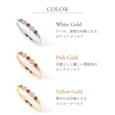 セミ オーダーメイド リング 指輪 誕生石 1.5mm 5石 Ties K10 K18 10K 18K 10金 18金 プラチナ 女性 レディース 誕生日 記念日 プレゼント ギフト 誕生日プレゼント ファミリーリング 刻印 名入れ 20代 30代 40代 妻 彼女 天然石 ダイヤモンド ミルグレイン ゴールド ピンクゴールド イエローゴールド 選べる アクセサリー アレルギー対応 金属アレルギー
