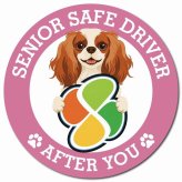 カーサイン 高齢者マーク SENIOR SAFE DRIVER キャバリアキングチャールズスパニエル マグネット 強力 直径13cm 肉球 日本製 車 ステッカー