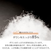 レディース ダウンベスト フード付き ダウン85% 軽量 ライトダウン ナイロン ベスト 収納袋付き 軽い 暖かい アウター グログラン 使い プレゼント ギフト 5F (08000245-cc-1r)
