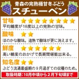 【10月中旬頃から発送】スチューベン 特秀L＆Mサイズ混合 約1.5kg(約5～7房入) 