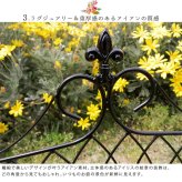 ガーデン エクステリア アイアンフェンス ミニタイプ "drape" ドレープ 6枚組 送料無料 フェンス アイアン 枠 柵 仕切り 目隠し 境目 クラシカル アンティーク 飾る ベランダ つる 薔薇 バラ 朝顔 園芸 纏う 庭 屋外 diy 簡易