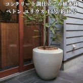 植木鉢 おしゃれ 大型 18号 14号 L M サイズ 鉢カバー KONTON コントン ベトン ユリウス 丸型 ラウンド ファイバーセメント セメント 屋外 室内 高級 北欧 モダン ナチュラル 観葉植物用 シンボルツリー サボテン 多肉植物 特大 玄関 プランター サンドグレー