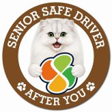 カーサイン 高齢者マーク SENIOR SAFE DRIVER チンチラ マグネット 強力 直径13cm 肉球 日本製 車 ステッカー