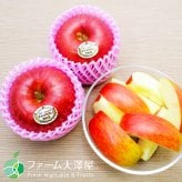 最高級品　シナノスイート　チャンピオンりんご®　贈答用　約5kg　8-23玉　長野県・志賀高原産　お歳暮　御歳暮　フルーツ　ギフト