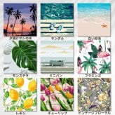 数字塗り絵 大人の塗り絵 ナンバーペイント数字入り 塗り絵 脳トレ 趣味 おうち時間 絵画キット アート 癒し プレゼント 誕生日 母の日 父の日 敬老の日 【無料ラッピング】【選べるデザイン】【送料無料】