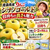 青森県産　りんご　シナノゴールド　訳あり　5kg　送料無料！