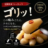 宮崎産らっきょう ピリ辛 80g×3袋