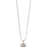 ダイヤモンド ネックレス 0.3ct プラチナ Pt900 一粒 6本爪 シンプル ペンダント 鑑定カード付き レディース ジュエリー アクセサリー 贈り物 ギフト 誕生日 記念日
